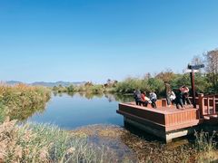 -芒洲湿地公园