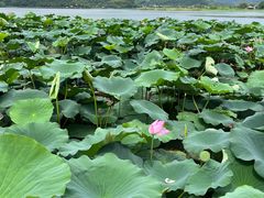 -东钱湖旅游度假区