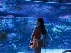 -海合安成都极地海洋公园