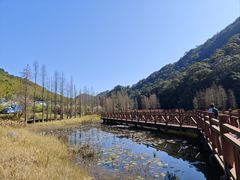 -广州市石门国家森林公园