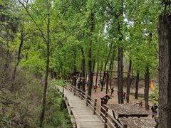 -蟠龙山长城景区