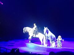 -珠海横琴长隆《卡卡虎奇遇记》