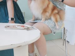 -怪兽屋·羊驼·猫咖·狗咖(俊华广场店)