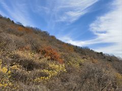 -南京珍珠泉风景区
