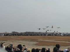 -盐城丹顶鹤湿地生态旅游区