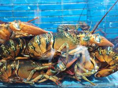 -徐记海鲜·宴会(大唐西市|丰庆店)