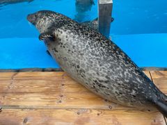 -泉城欧乐堡海洋极地世界