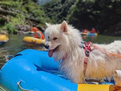 -安吉龙王山峡谷漂流