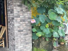-李东农庄(中南百草园地标店)