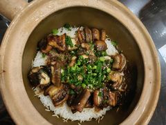 -红星光发煲仔饭(文海店)