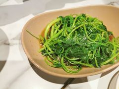 白灼芥兰苗-MR鹅外