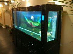 -鸥迪足道(时光海店)