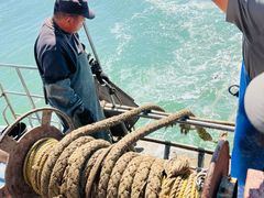 -日照世帆赛基地