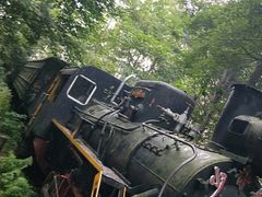 -五营红松林海景区