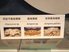-天津自然博物馆