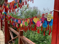 -野三坡刘家河高山漂流