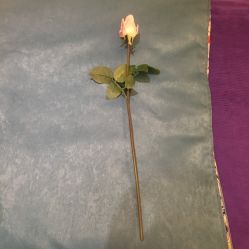 -悦芳庭美肤美体品牌集合店