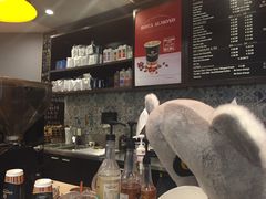 -Gloria Jean's Coffees