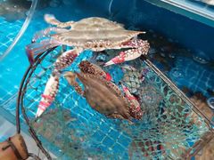 -宾朋海鲜饭庄(兴海路店)