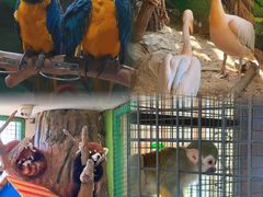 -海合安武汉极地海洋公园