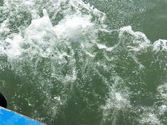 -罗源湾8号渔排