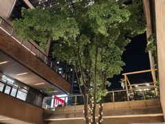 -瑞虹新天地月亮湾