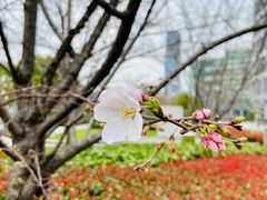 -北外滩百艇汇游艇俱乐部