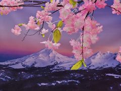 -首开·龙湖成都西宸天街