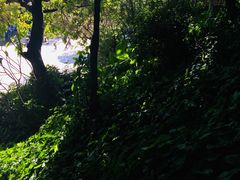 -佛山祈福仙湖酒店