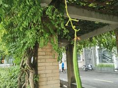 -湖北美术学院(昙华林校区)