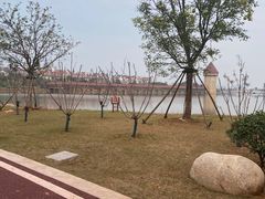 -九龙湖公园