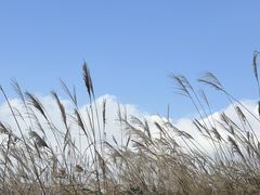 -山王坪喀斯特国家生态公园
