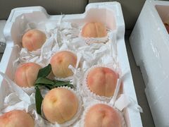 -西郊国际农产品交易中心