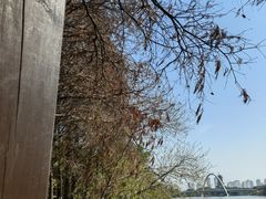 -厦门园林博览苑