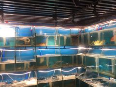 -蚝伯·新派海鲜(荣昌店)