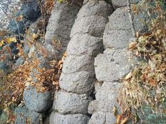 -黄椅山火山森林公园