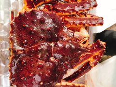 -吴淞炮台湾湿地森林公园烧烤区