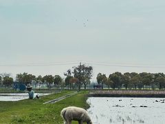 -嘉北郊野公园