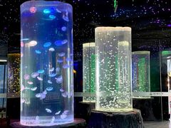 -锦艺城海洋馆