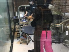 -Oh My Dog宠物沙龙(伊珊娜皮毛护理店)