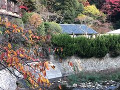 -月光园游月山庄