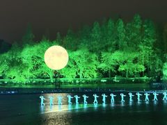 -印象西湖·最忆是杭州实景演出