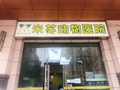 -米苏动物医院·犬猫专科·骨科外科内窥镜