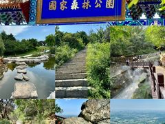 -北京西山国家森林公园