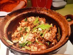 秘制奇味鸡煲-煲煲好(朝阳门店)