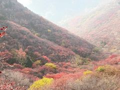 -石门坊