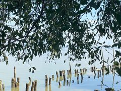 -深圳人才公园