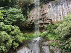 -龙苍沟森林公园
