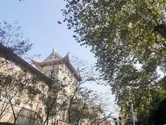-武汉大学-樱园