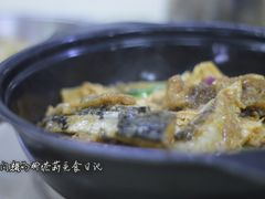 支竹鱼头煲-独树塱农庄